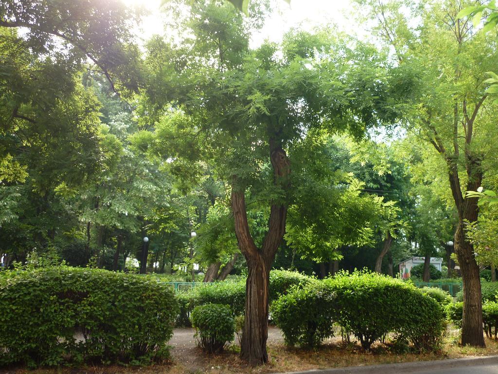 Sea Garden Plaza Apartment - Free Parking Burgas Room photo